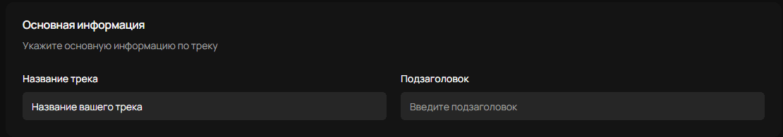 Заполнение названия и подзаголовка трека